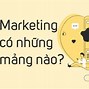 Các Mảng Trong Ngành Marketing